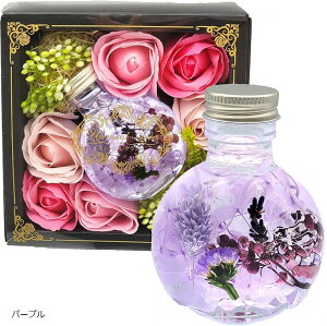 n[oE v[g t[Mtg  蕨 LO a vU[uht[ j \[vt[ (p[v)