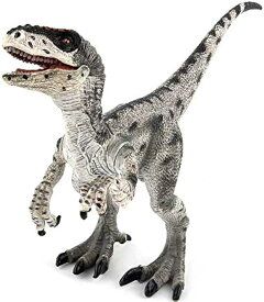 恐竜 フィギュア リアル 模型 ジュラ紀 30cm級 ディスプレイ ヴェロキラプトル
