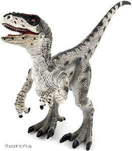  tBMA A ͌^ WI 20cm ঒  H qߋ v[g fBXvC FLvg (O[)