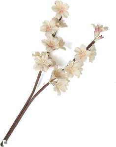 荗agp ԍ t[ [hfBt[U[ XeBbN  tFCNO[ lHϗtA   (sN, 6x6x18cm)