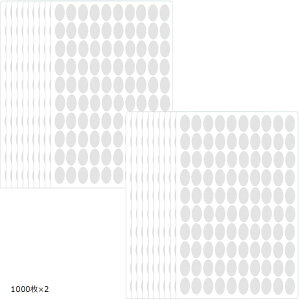 V[  MtgV[ ȉ~   NA bsO Ɩp(1000x2)