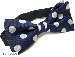 傫ȃhbg ʕ lN^C  I 񎟉 p[eB[ \ hn ߏ (lCr[/Vo[)