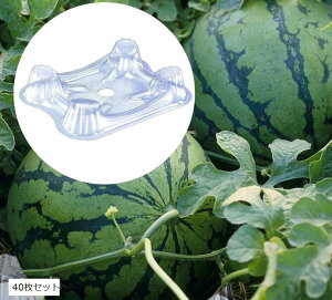 XCJgC XCJ}bg ~m  | ͔| M J{`  󂯎M (NA, 40Zbg)