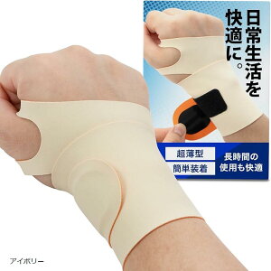  T|[^[ wÖ@mďCxTFCCT|[^[Ԃ̒pKx炳ƂSn (AC{[)