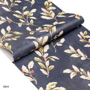 ǎV[ 10m h CNV[g hJr DIY  ͗lւ JbeBOV[g (9844, 45CMx10Miԕ j)