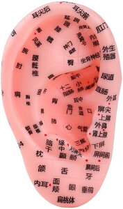  ͌^ ڃV[ ڃWG[ K ObY c{ wZ wK l̖͌^ c[ 13cm