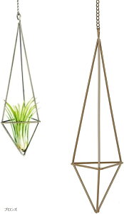 AllBright vgnK[ nLOv^[ GAvc AnK[ ϗtA ݂艺 CeA (uY, 26cm)