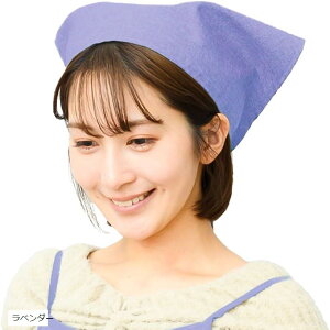 Op Vv Ђ n lp jp JtF Ɩp  K |(x_[, {́F 55cmxc 38cm@ЂF1)