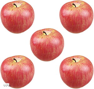 食品サンプル ディスプレイ インテリア 小物 模型 展示 デッサン フェイク 5個 セット フルーツ (リアル)