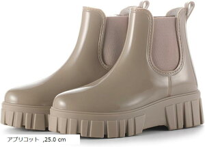 ꃌCu[c CV[Y TChSA h fB[X y ₷ ɂ  h ʋ ʊw Gi IV Jp ig(AvRbg, 25.0 cm)