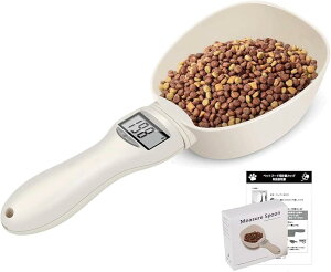 FISHBOMB ybgt[h fW^ v Xv[ hbOt[h {t ()