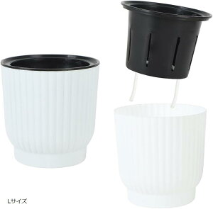 AllBright v^[  Aؔ Ԕ   Ђt vX`bN | 6Zbg (zCg, LTCY)