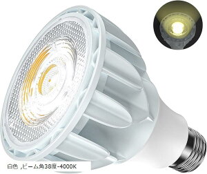 LEDA琬Cg E26 v 24W tXyNg (F, r[p38x-4000K)