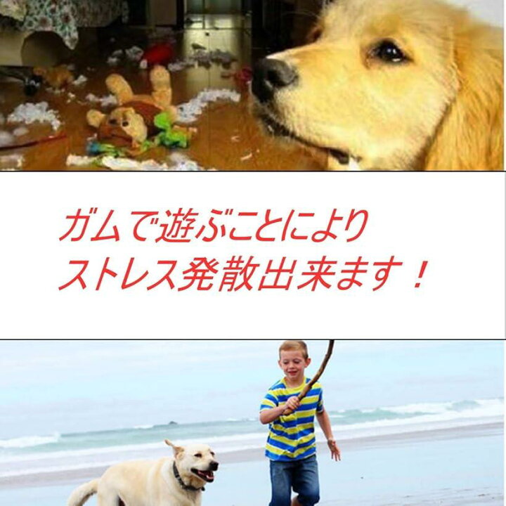 楽天市場 犬おもちゃ 玩具 噛む 投げる ロープ ストレス ストレス解消 ペット 中型犬 大型犬 黄色 60cm ブルー スピード発送 Reapri リアプリ