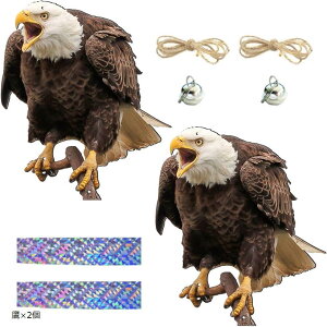 悯 悯  悯ObY h   JX悯 JX ΍ObY (x2)