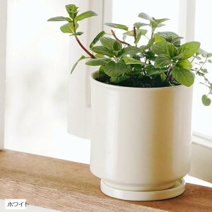 日本製 植木鉢 受け皿付 10.5x11.5cm 3.5号 波佐見焼 (ホワイト, 10.5x11.0cm)