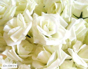 o  [Y KN AW 8Z` 50Zbg  2 p[eB[ uC_Cxg [YzCg ([YzCg)