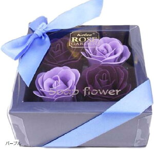 \[vt[ Mtg {bNX Ό̉ v[g a ̓ Ȃǂ p[v (p[v)