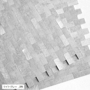 ʏ ^CV[g Lb` ^CV[ 嗝  pl UCNϔM h DIY (CgO[, 5)