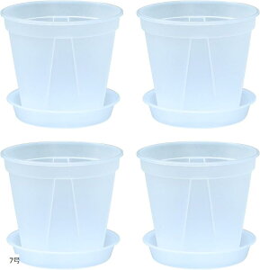 Ǖi{ Aؔ  vX`bN Mt ϗtA I[Lbh|bg Xbg 4Zbg(, 7)