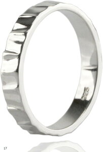 sv925 Ɩ Vo[ O Y w lC X^[OVo[ Vo[O I[KjbN ؖ fB[X 17 (Vo[)