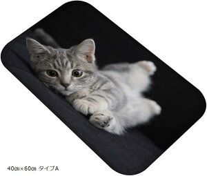 ˂^E LoX}bg A ʐ^  tlf tA}bg ӂ}bg 40cmx60cm ^CvA(40cmx60cm ^CvA)