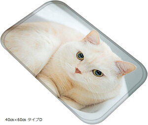 ˂^E LoX}bg A ʐ^  tlf tA}bg ӂ}bg 40cmx60cm ^CvD (40cmx60cm ^CvD)