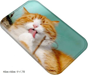 ˂^E LoX}bg A ʐ^  tlf tA}bg ӂ}bg 40cmx60cm ^CvE(40cmx60cm ^CvE)