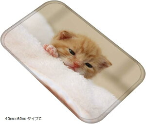 ˂^E LoX}bg A ʐ^  tlf tA}bg ӂ}bg 40cmx60cm ^CvC (40cmx60cm ^CvC)