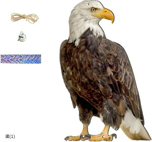 悯  ObY 悯  JX悯 JX ΍ObY x_ }V ݂艺 3  1 (t[TCY)