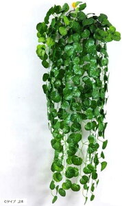 tFCNO[ CeA C~e[V lH ϗtA Ǌ|  (C^Cv, 2{)