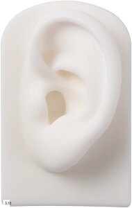  ͌^ VR ͌^ fbT tFCNsAX (zCg/())