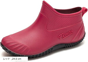 CV[Y fB[X C V[g u[c Cu[c h   Vv [q[ JC o[ S ʋ ɂȂ ₷ Jp ʊw y K JWA 