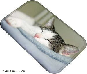 ˂^E LoX}bg A ʐ^  tlf tA}bg ӂ}bg 40cmx60cm ^CvG (40cmx60cm ^CvG)