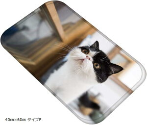 ˂^E LoX}bg A ʐ^  tlf tA}bg ӂ}bg 40cmx60cm ^CvF (40cmx60cm ^CvF)