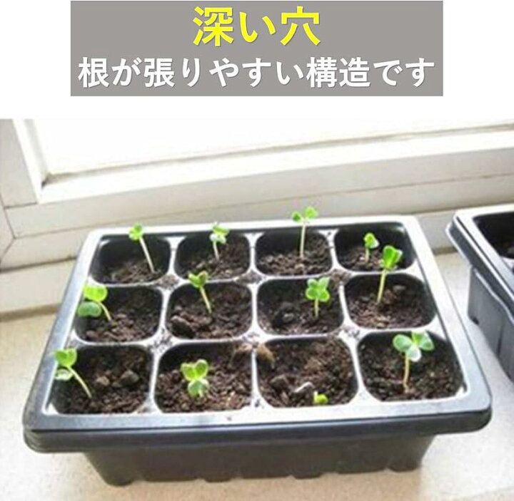 ライトニング くすぐったい 覚醒 種まき ポット Hanabi A Jp