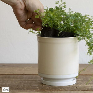 { Aؔ 󂯎Mt 10.5x11.5cm 3.5 g (x, 10.5x11.0cm)