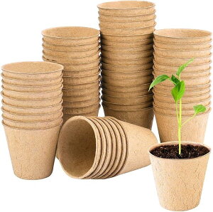 c|bg pv y[p[|bg ƒ؉ K[fjO 50Zbg(uE, ~fBA)