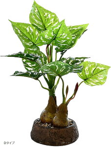 ϗtA tFCN O[ tFCNO[  Xe lHϗtA ~j   A(O[iDj, ~j)