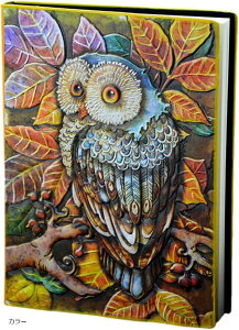 アンティークノート a5 フクロウ 日記帳 魔導書 魔法書 魔導書風ノート 洋書風 カラー (カラー)