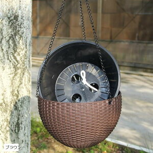 nMOv^[ ݂艺v^[ Aؔ nMOoXPbg (uE, TCY)