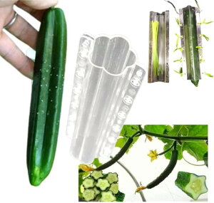 łイ イ ~`^ n[g イ̌^ Ă 2ނ̌^ rj^C12{t