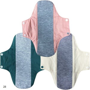 zivL p Ci[ Rbg Xibvt ėp\ 3Zbg 100% peBCi[ ې􂢉\ hz pivL  pi (28)