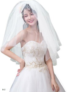 EGfBOx[ p[eB[  wbhhX EGfBOhX F[ p  I  OB Be ԉ(zCg(B-2), M[TCY)