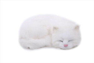 白 猫 ぬいぐるみの人気商品 通販 価格比較 価格 Com 白 猫 ぬいぐるみの人気商品 通販 価格比較 価格 Com