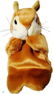 킢  pybg l` S374(肷)