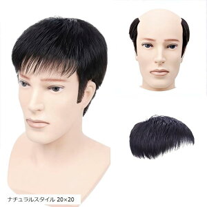 ウィッグ メンズ ハゲ隠し カツラ 男性用 ワンタッチ カバー 自然 ひふ ピン 部分ウィッグ 薄毛 超軽量 ナチュラルスタイル (ブラック, ナチュラルスタイル 20x20)