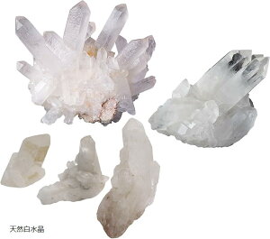  VR {  NX^[  NX^ Ήp ̂ꂽ H ̌ q[O Xg[p[   K^ 6`9cm 100`140g (VR)