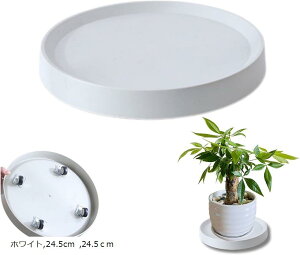 ϗtA  LX^[ Aؔ 󂯎M u v^[X^h ԑ v[g 360°] K[fjO(zCgC24.5cm, 24.5cm)