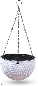 nMOv^[  vX`bN Aؔ ݂艺 nMOoXPbg (zCg, 16.5x11cm 1)